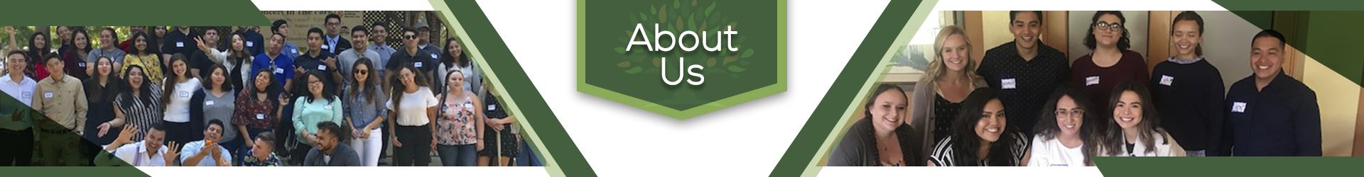 about us - banner